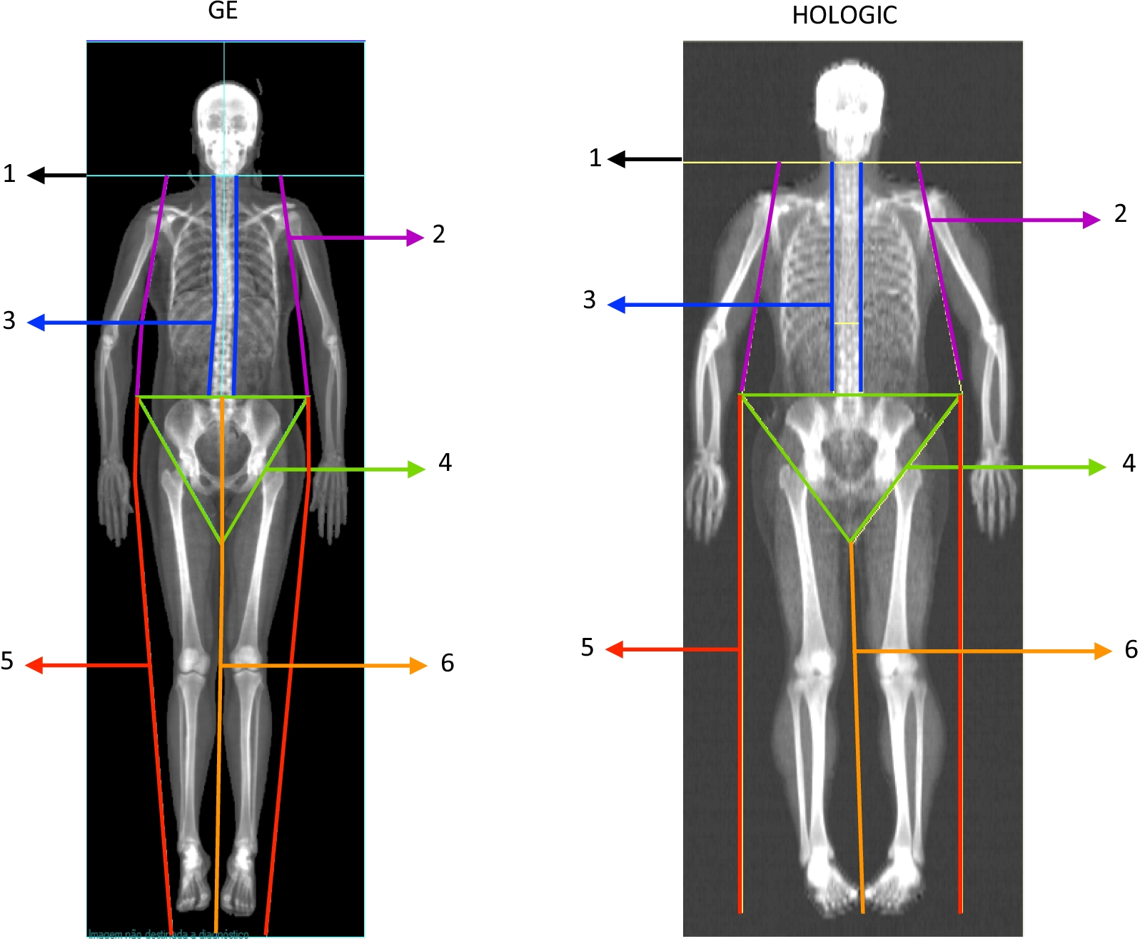 Fig. 9