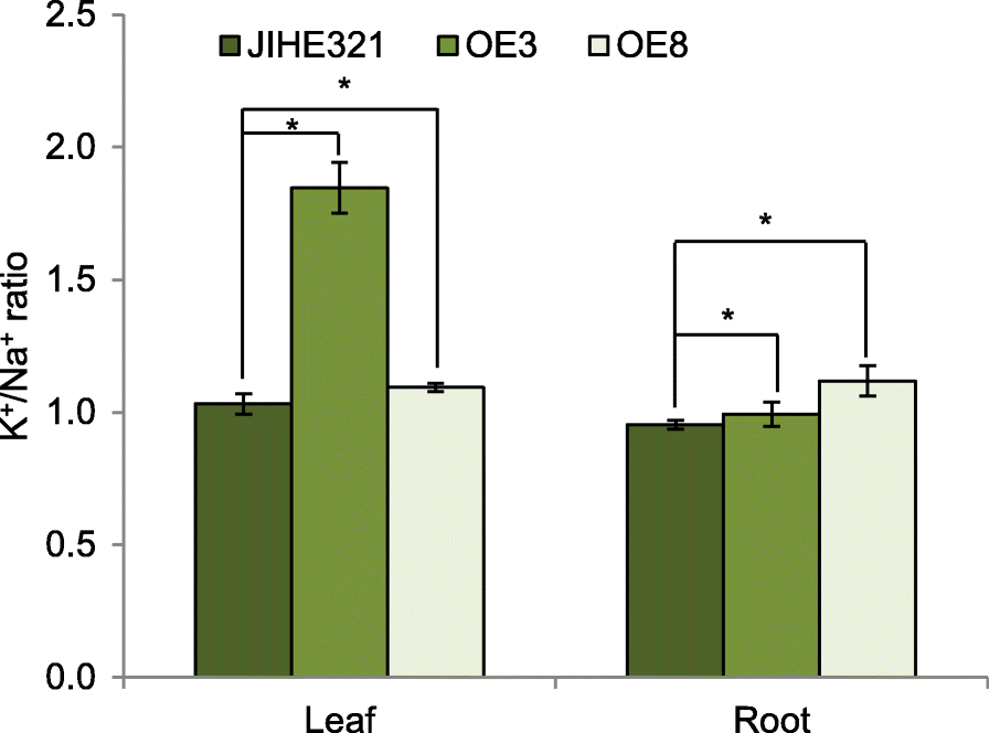 Fig. 6