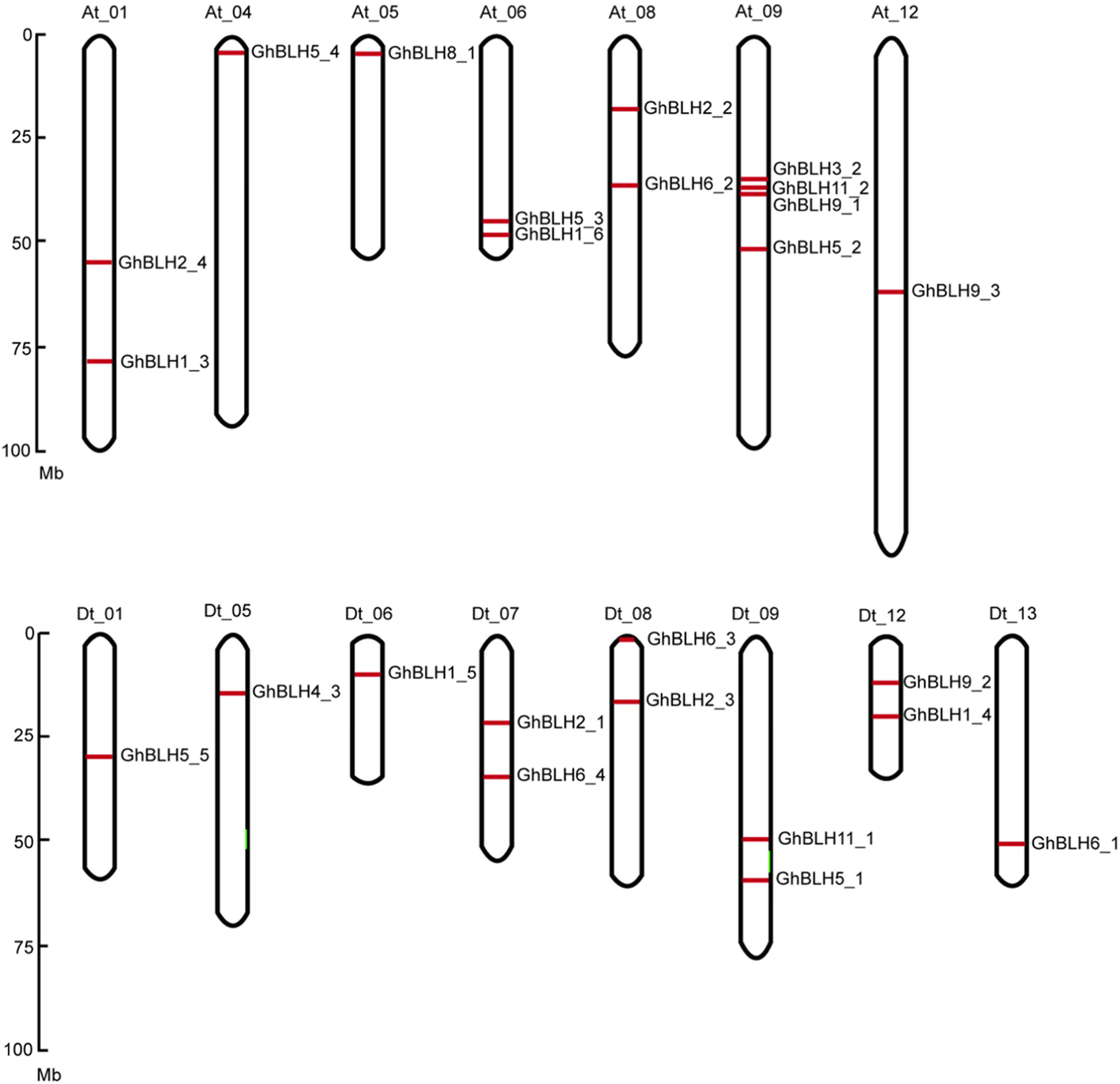 Fig. 2