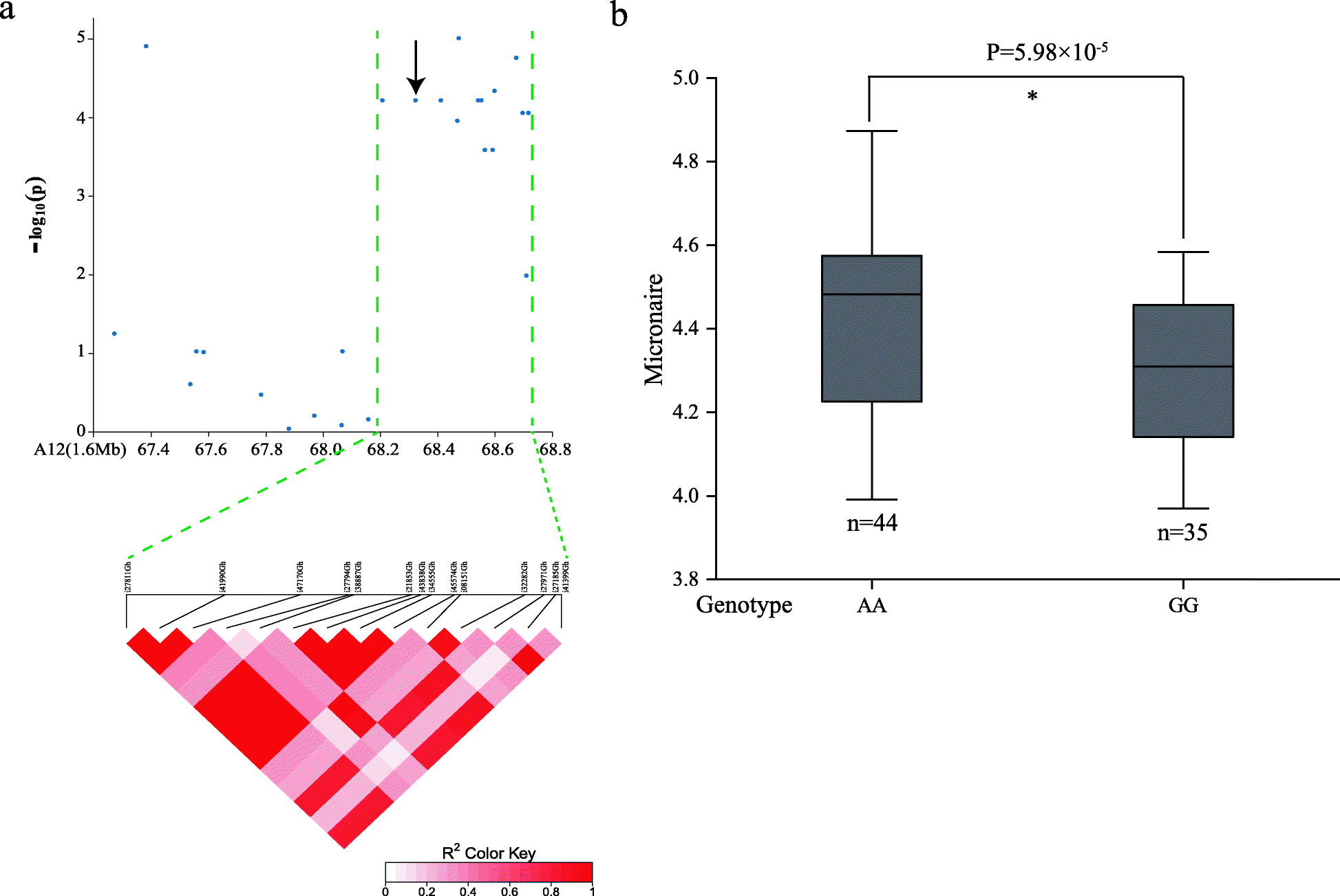 Fig. 5