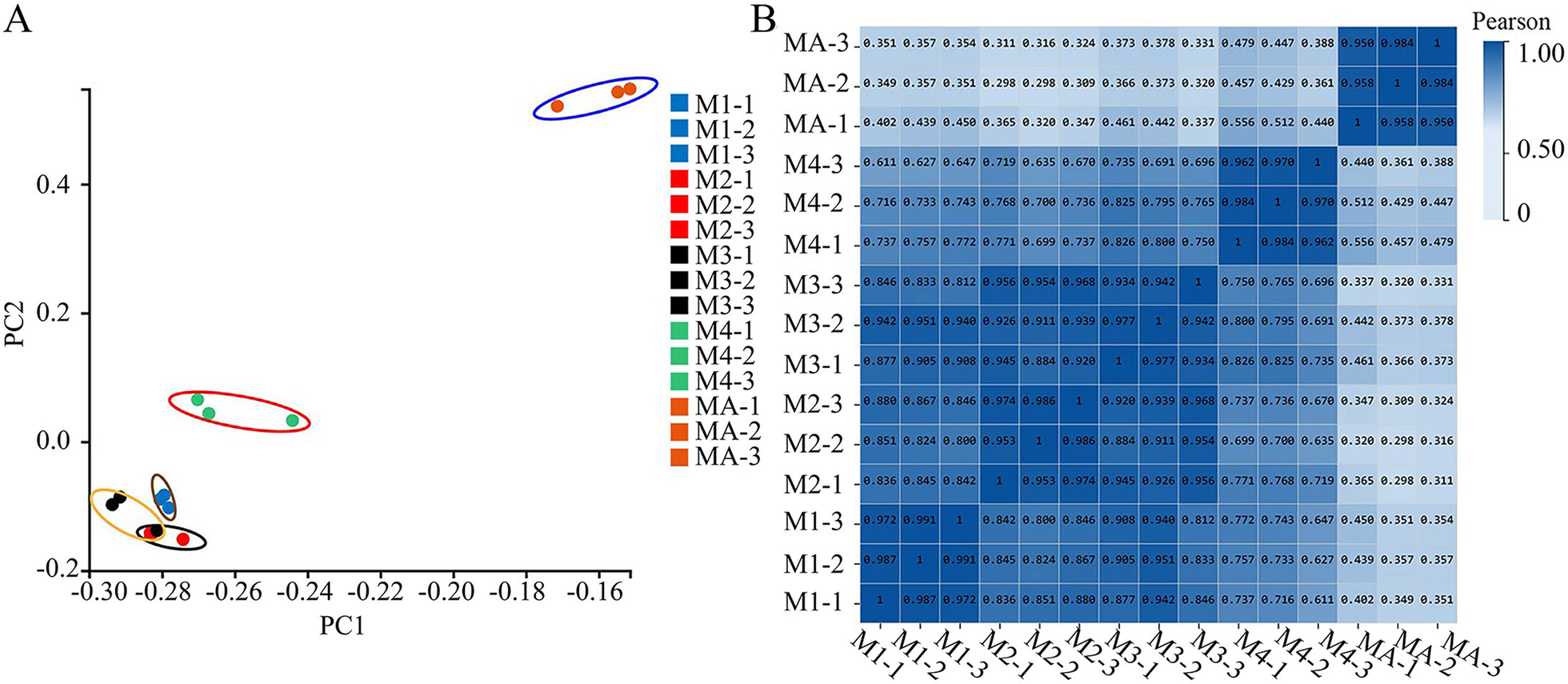 Fig. 4