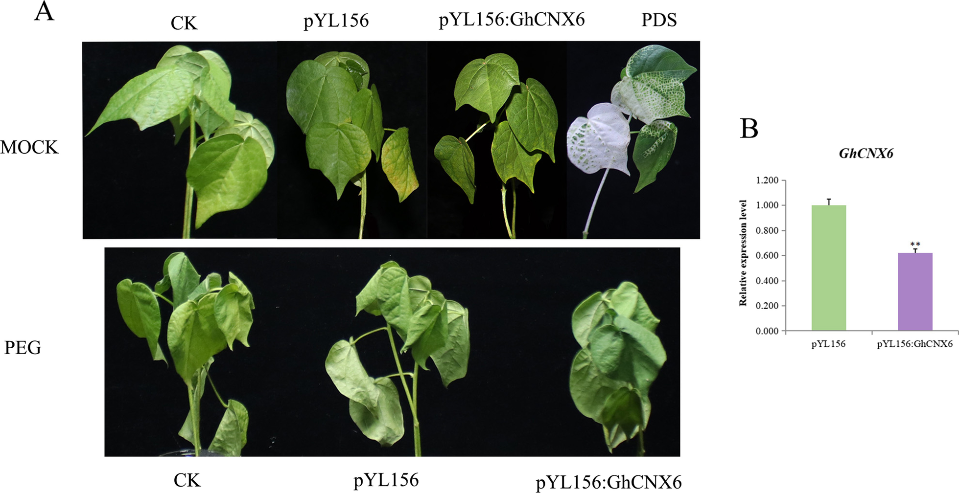 Fig. 11