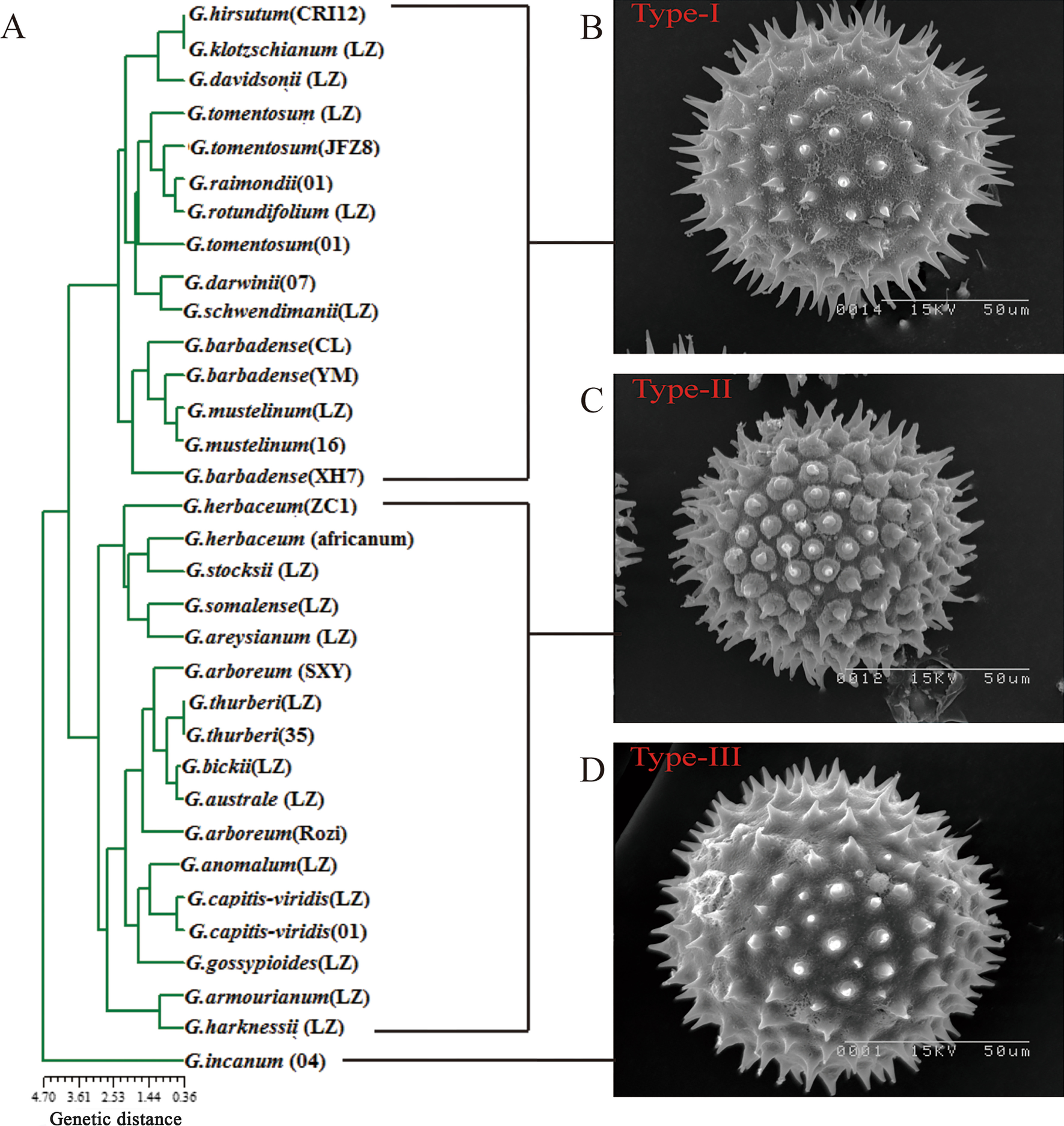 Fig. 4