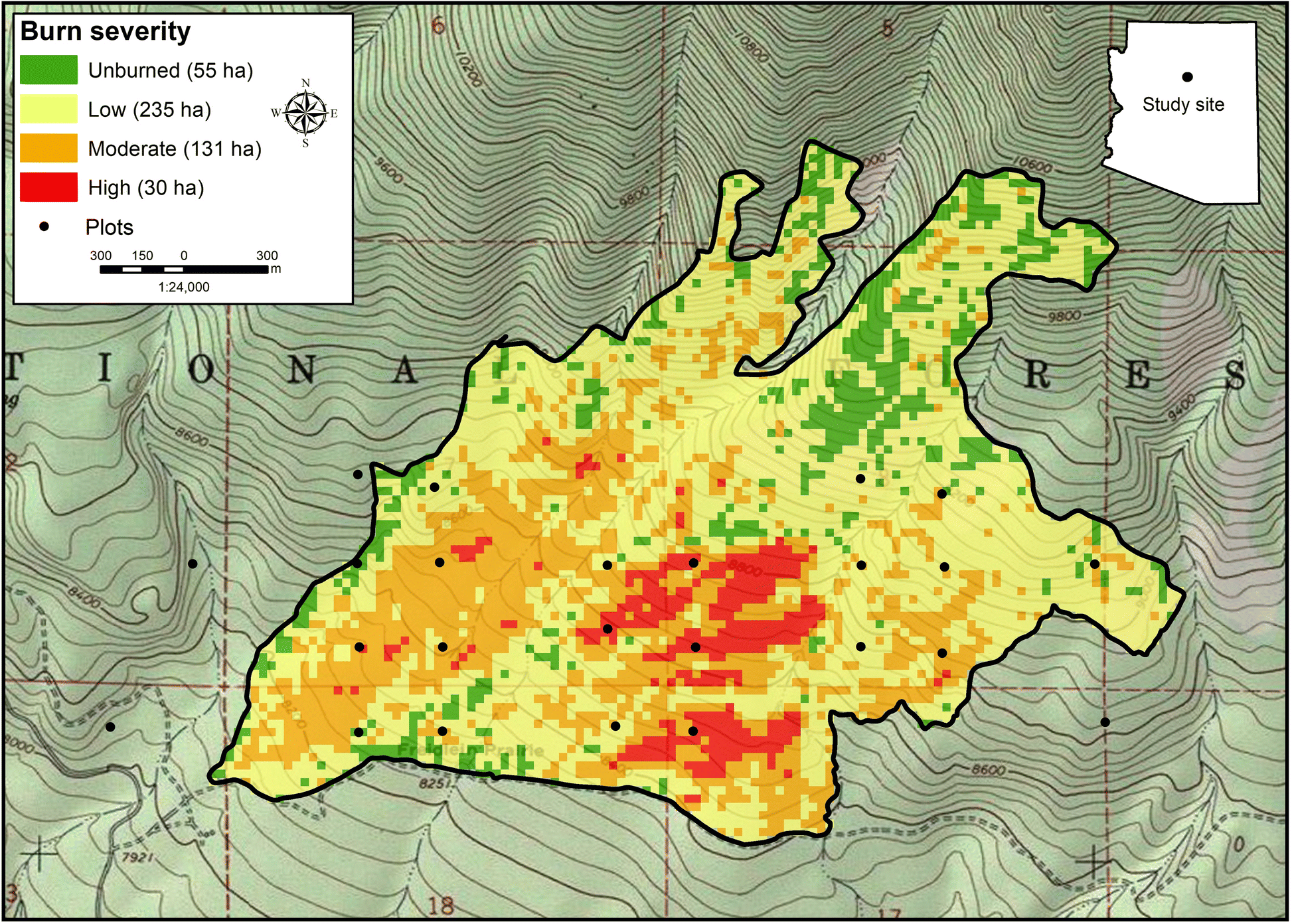 Fig. 1