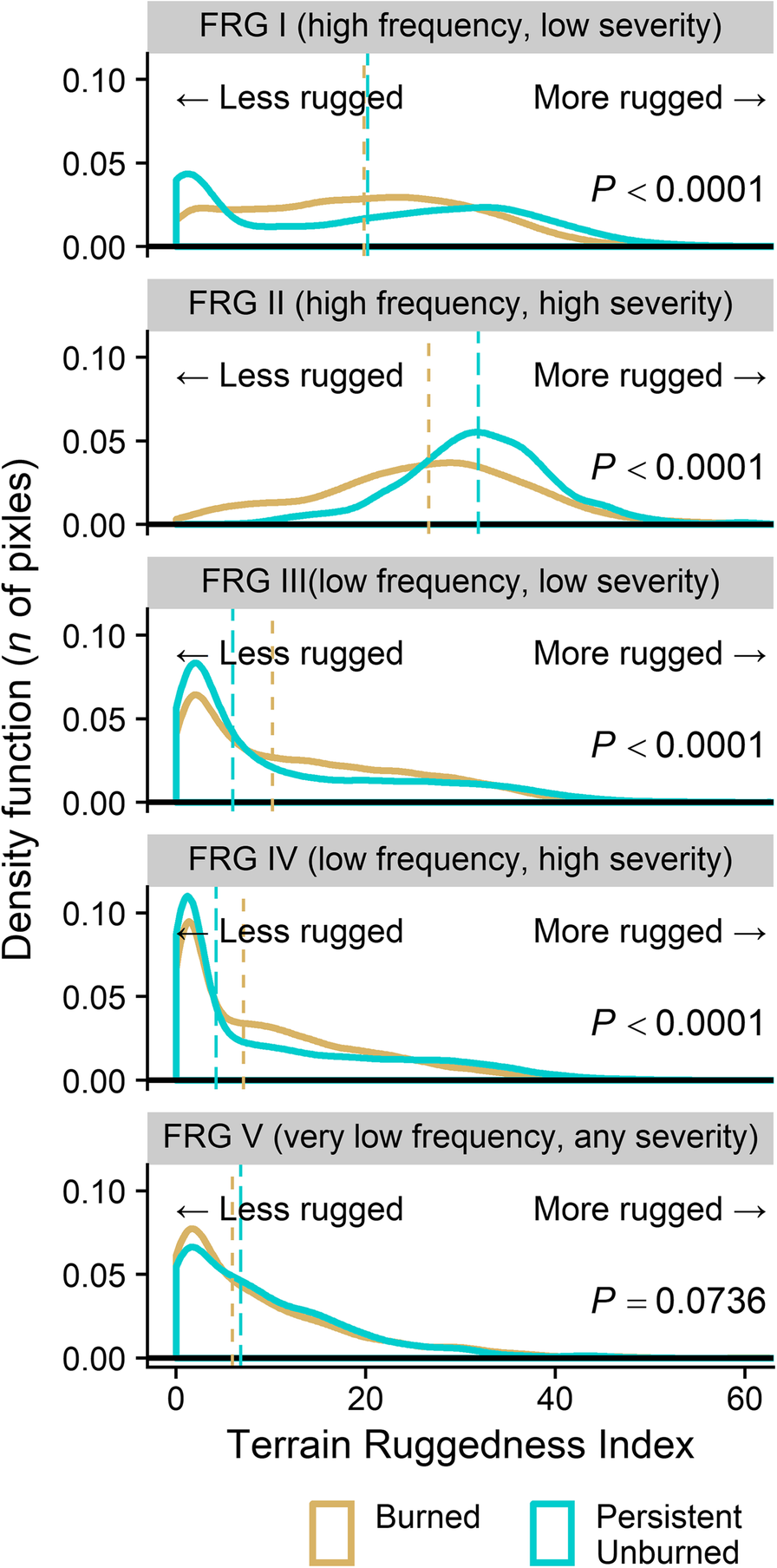 Fig. 10