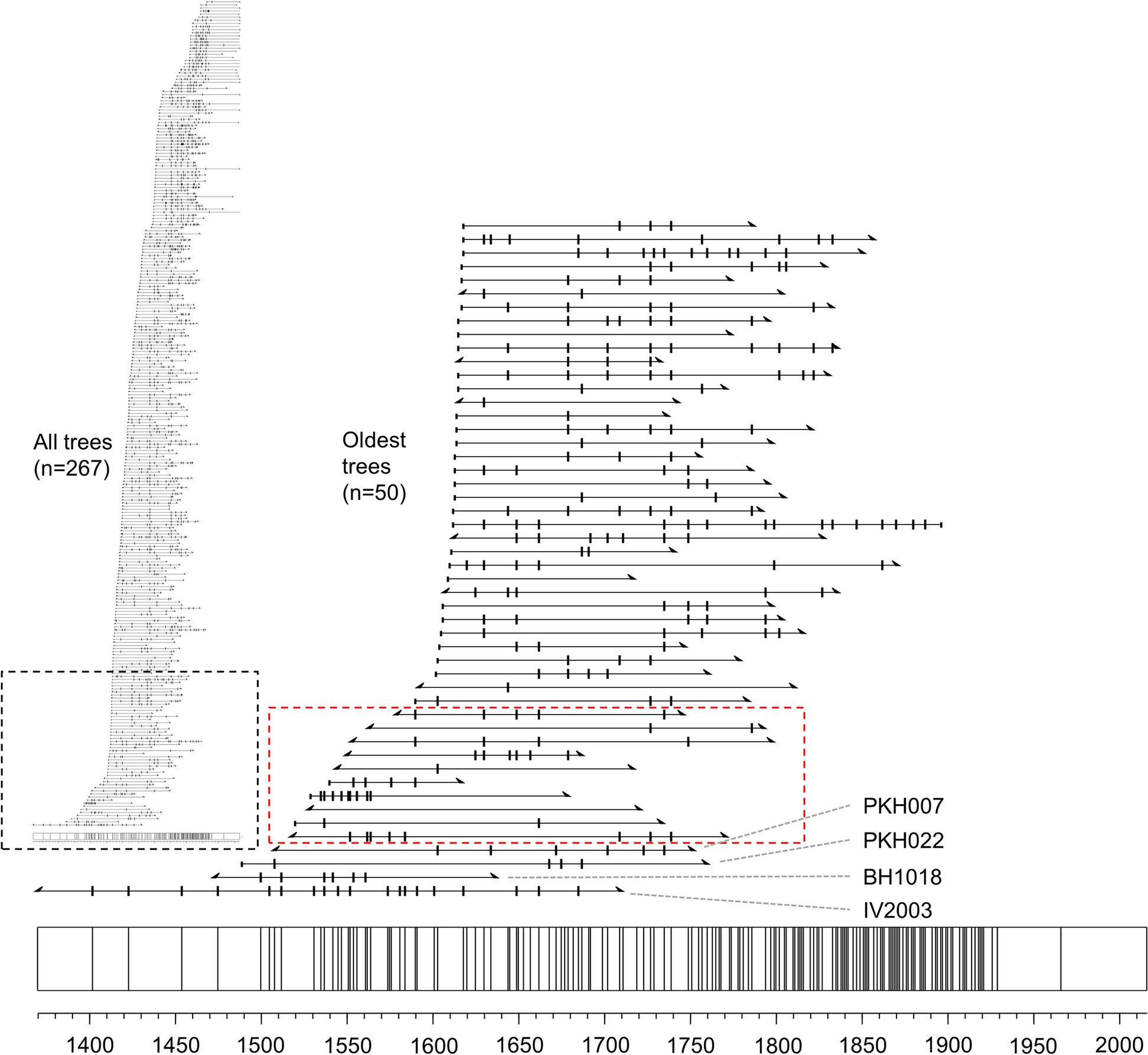 Fig. 5