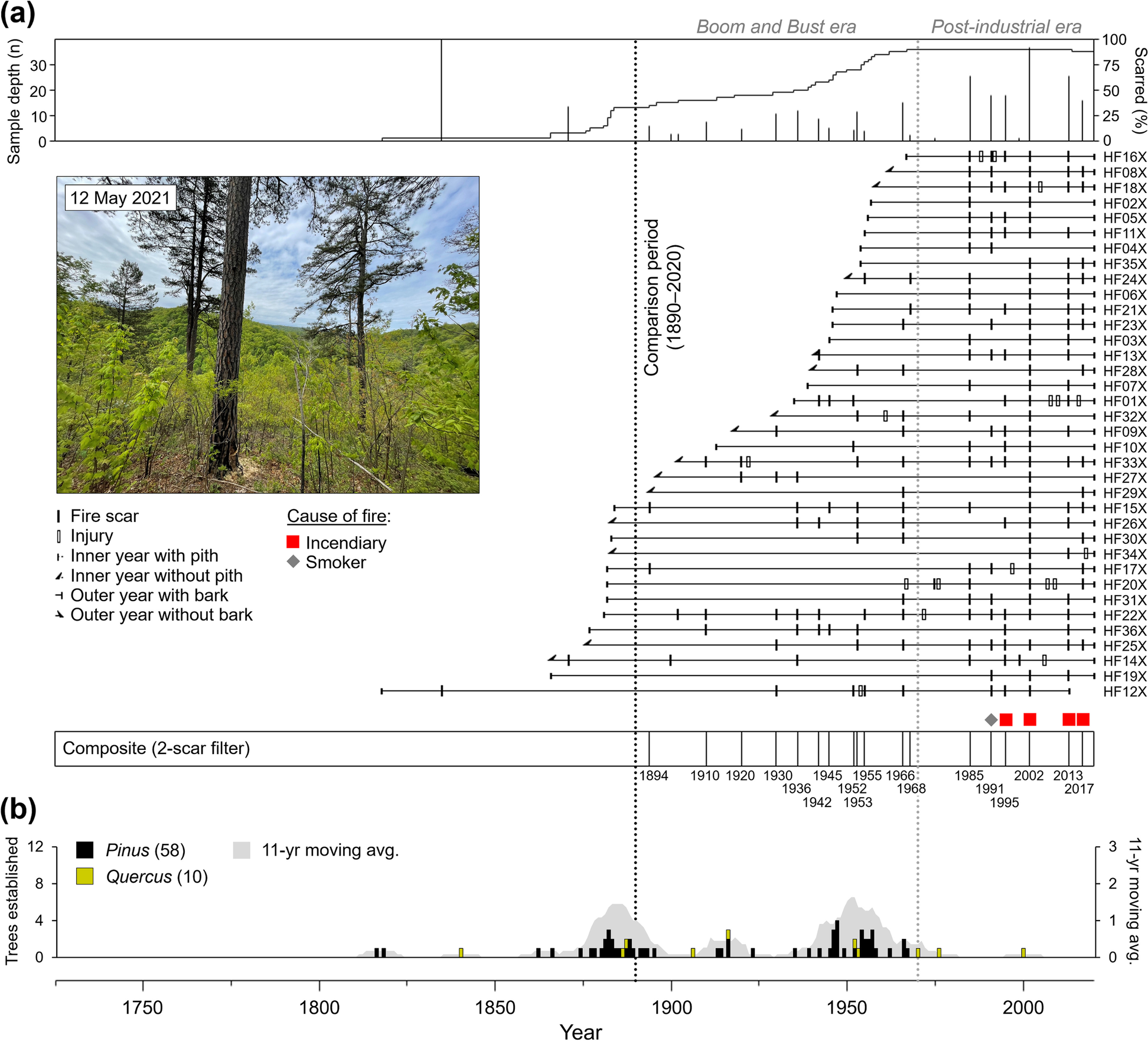 Fig. 3