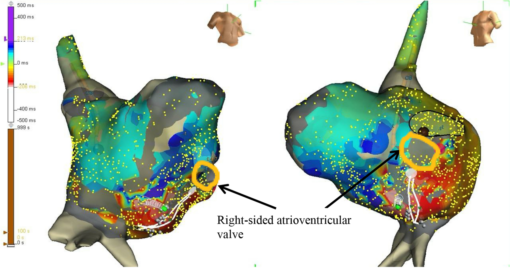 Fig. 6