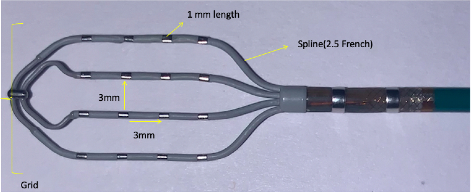 Fig. 7