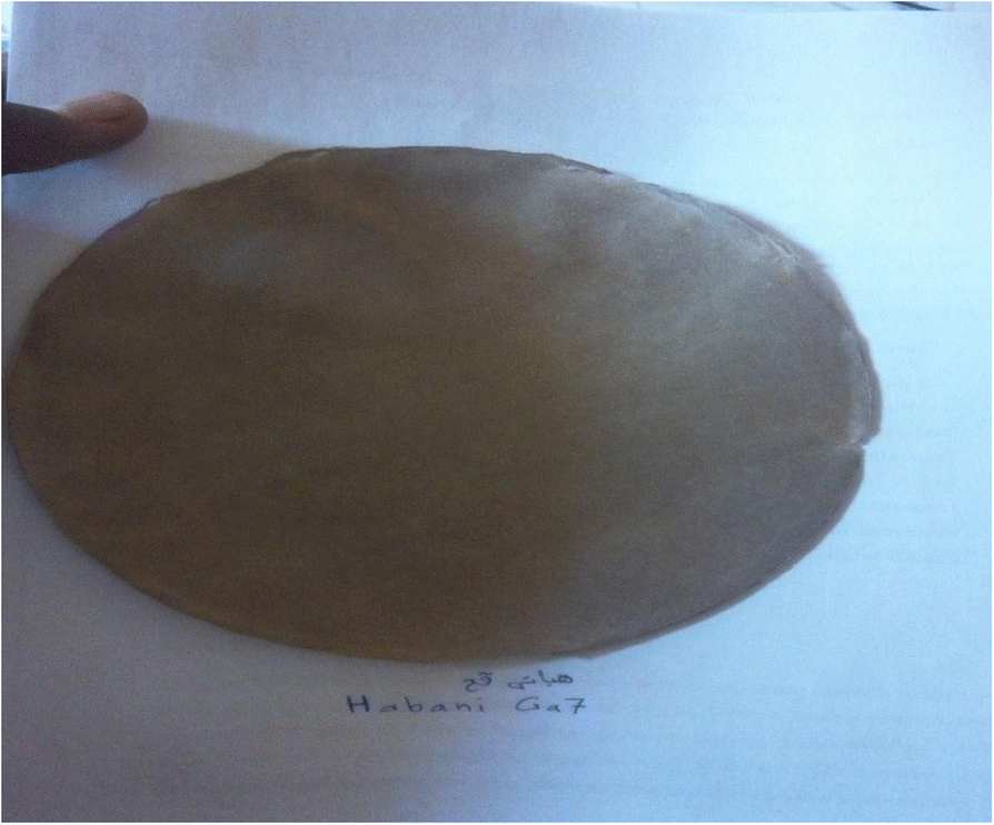 Fig. 4