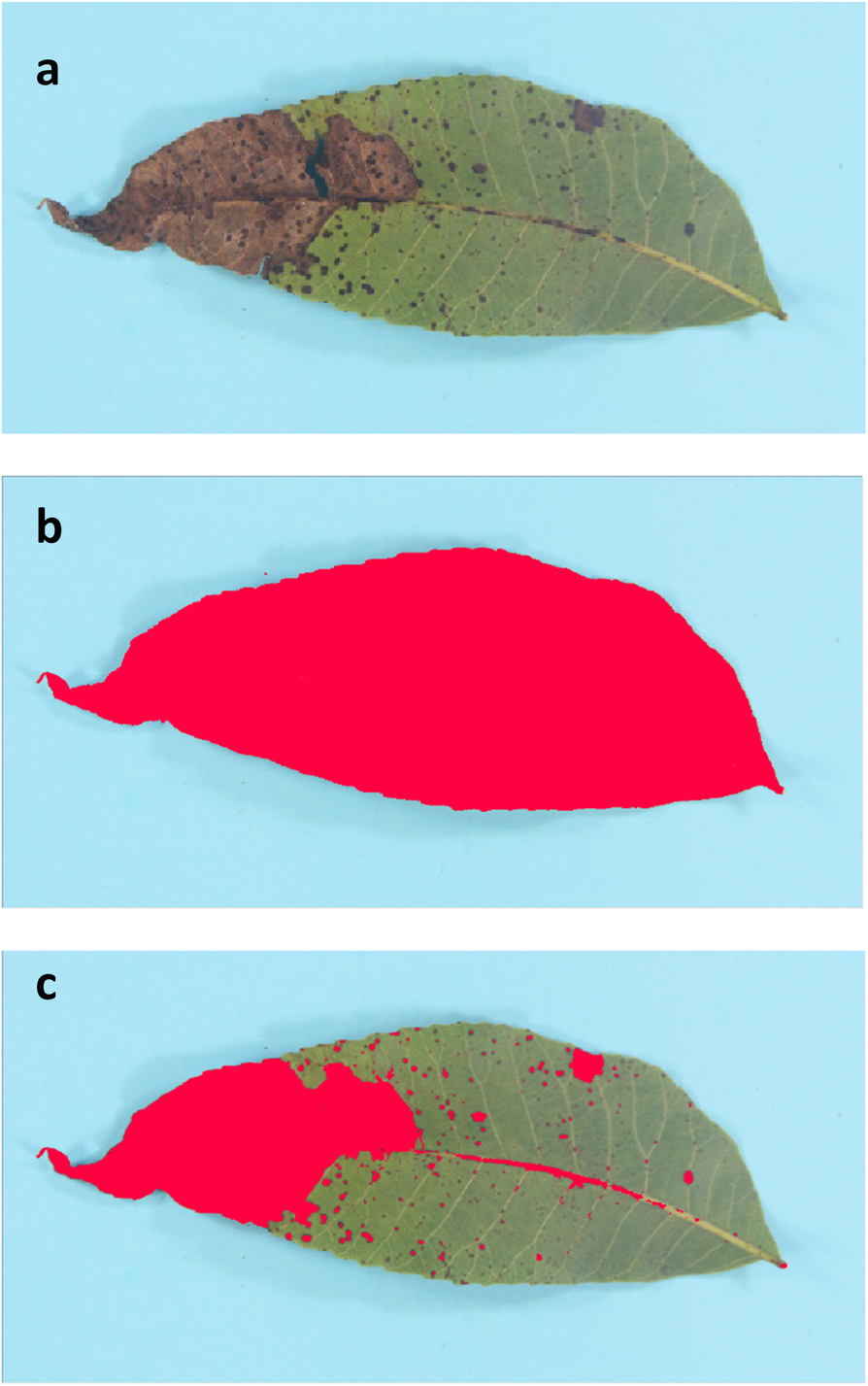 Fig. 3