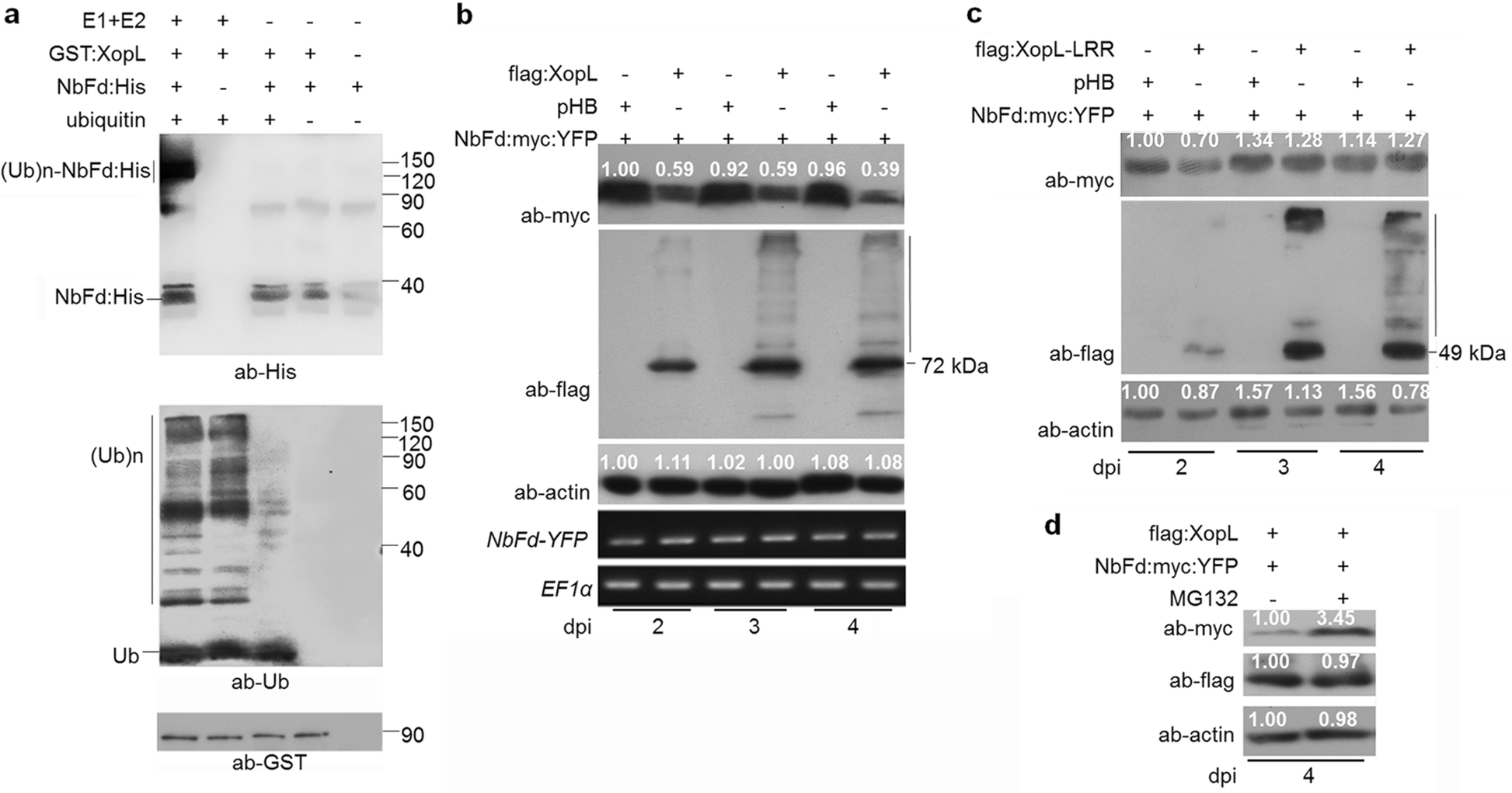 Fig. 4