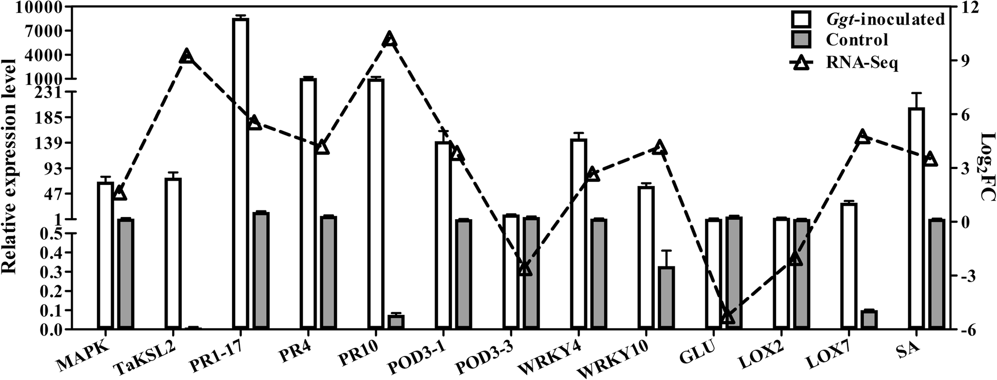 Fig. 6