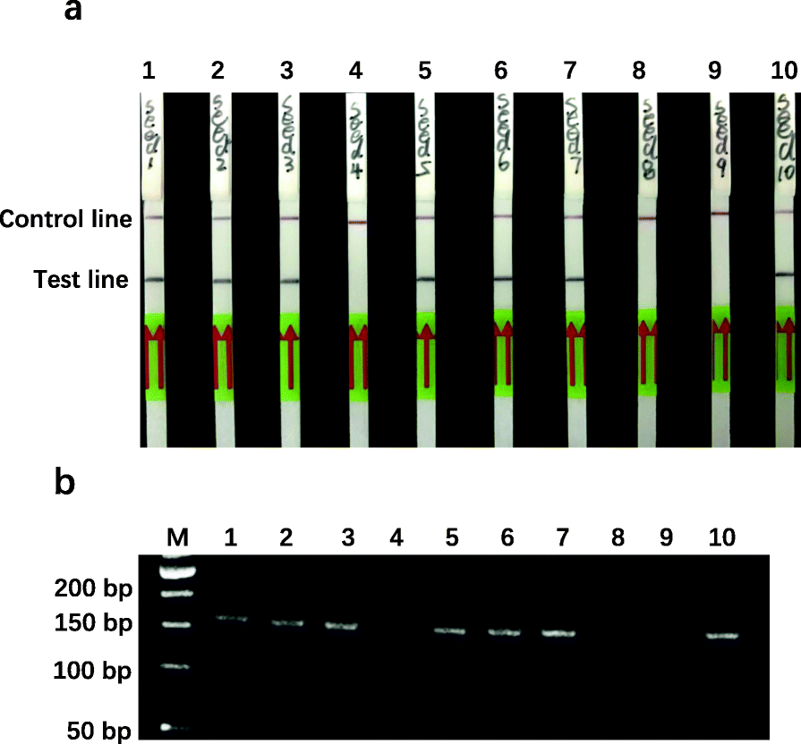 Fig. 5