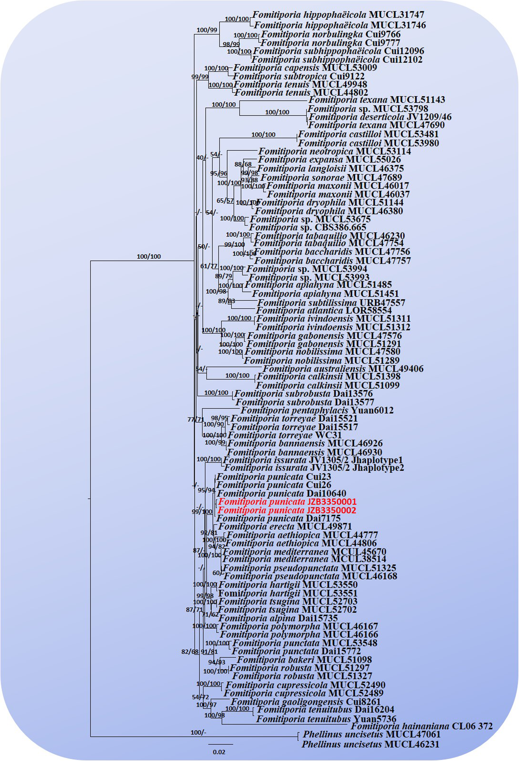 Fig. 2