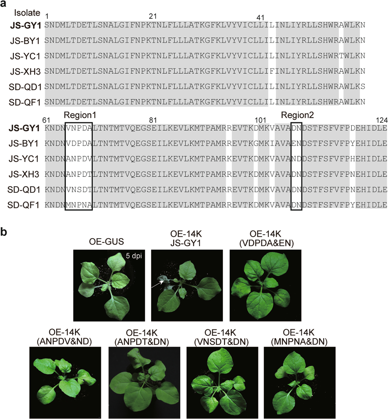 Fig. 4