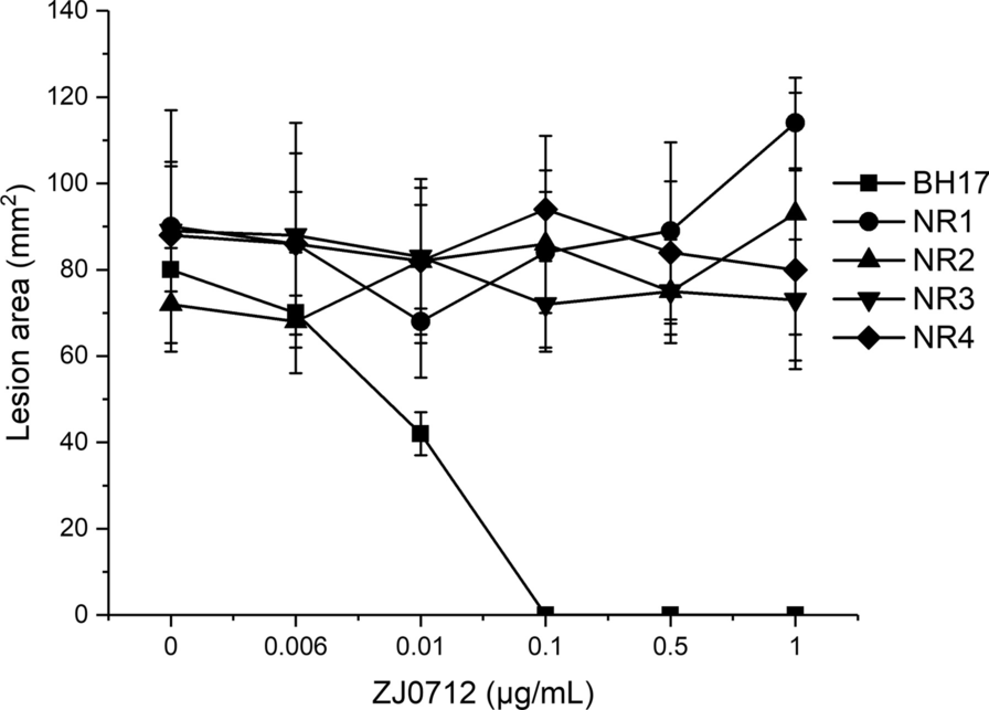 Fig. 2