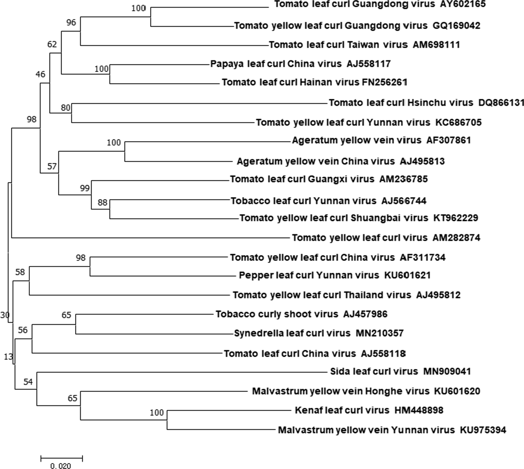 Fig. 2