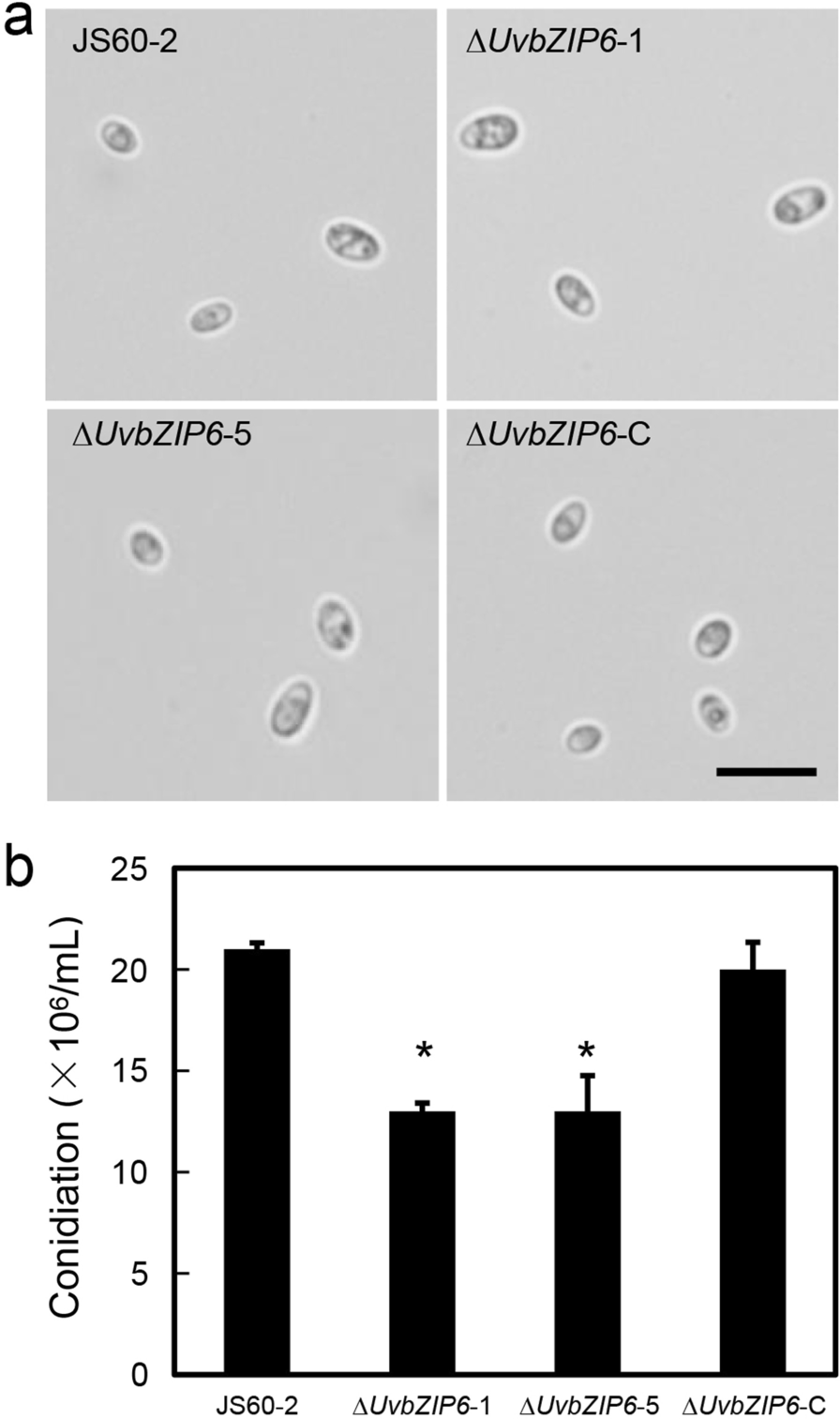 Fig. 4