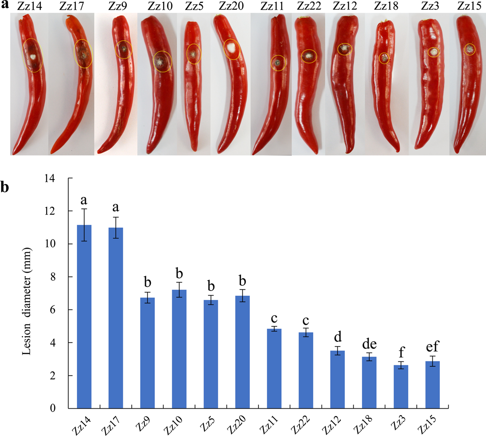 Fig. 4