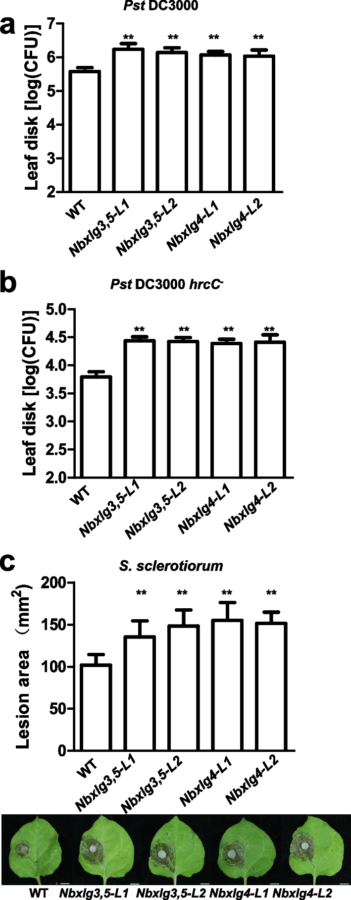 Fig. 3