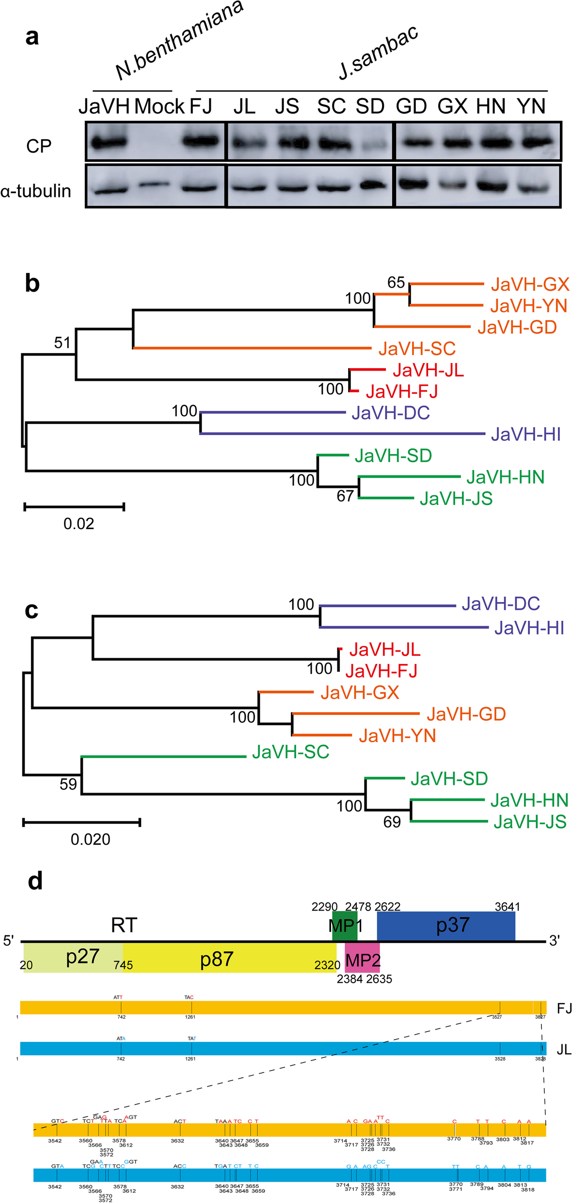 Fig. 3