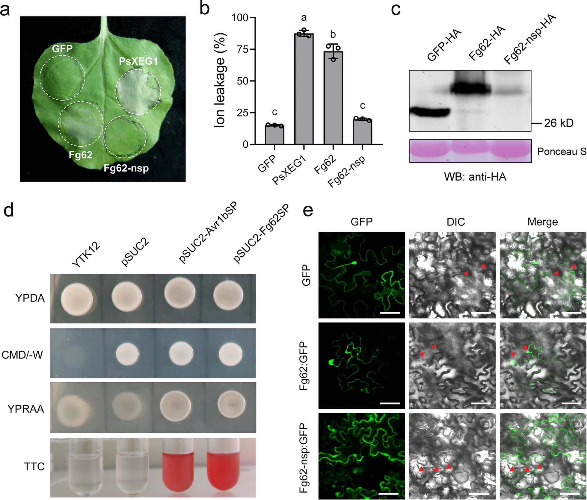 Fig. 4