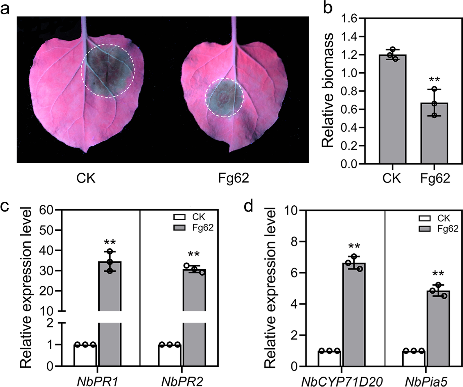 Fig. 6