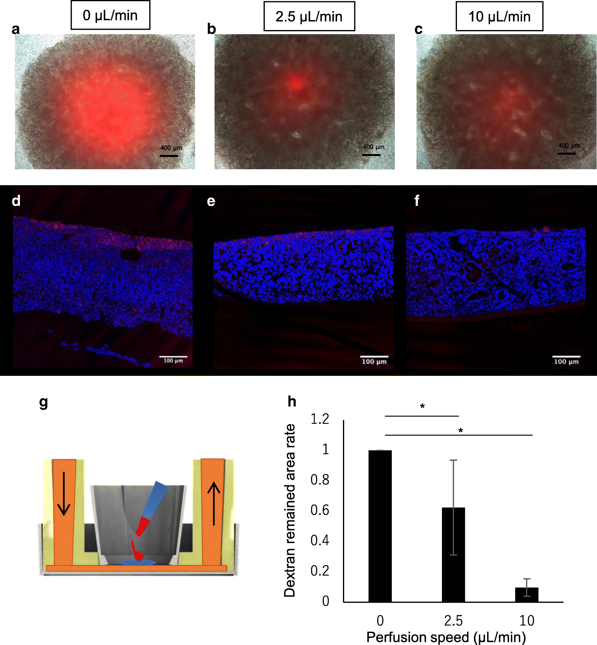 Fig. 5