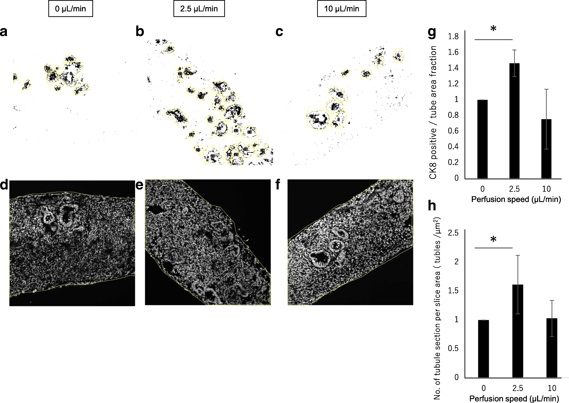 Fig. 8