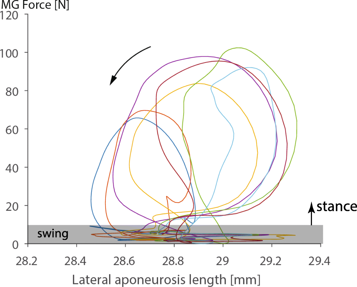 Fig. 12