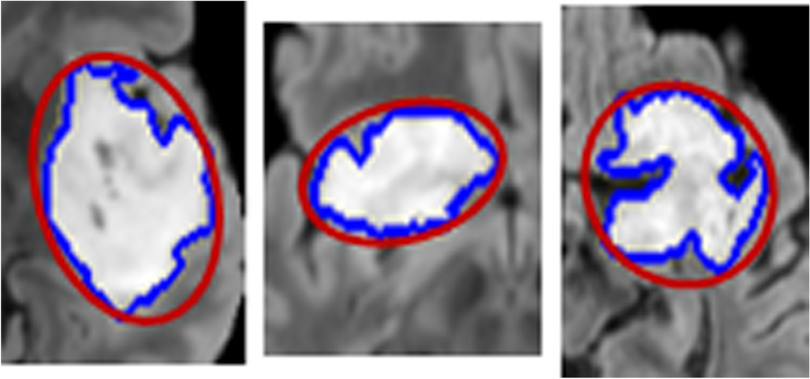 Fig. 7