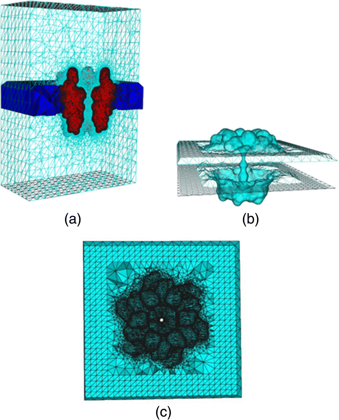 Fig. 7