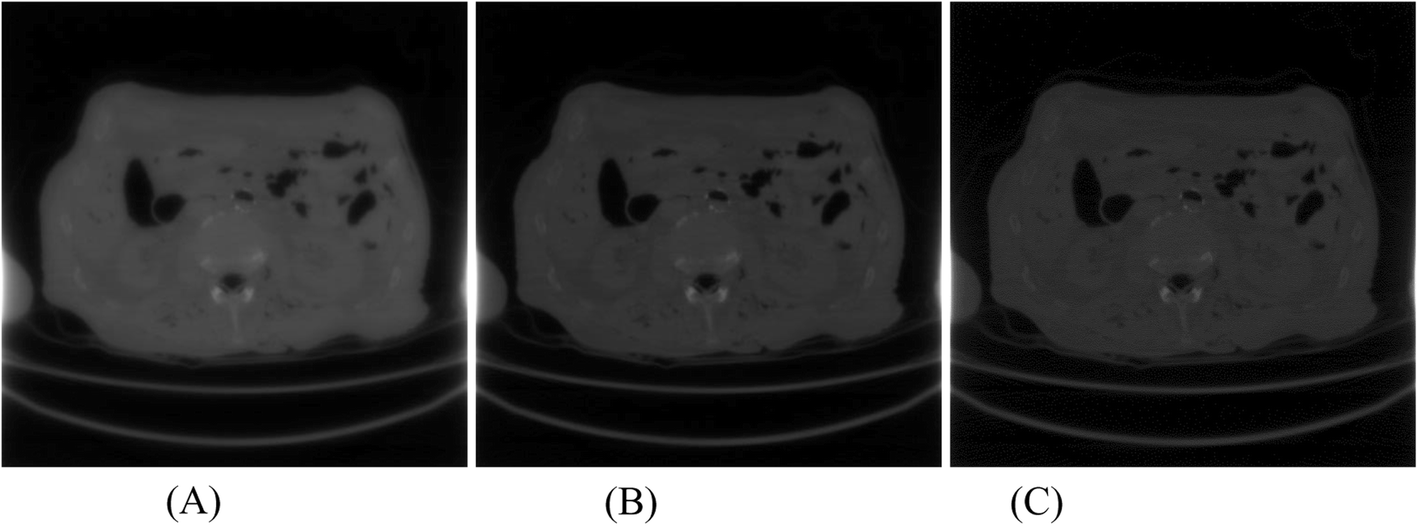 Fig. 12