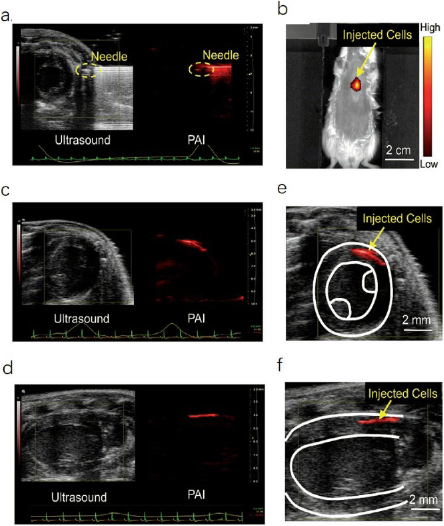 Fig. 3