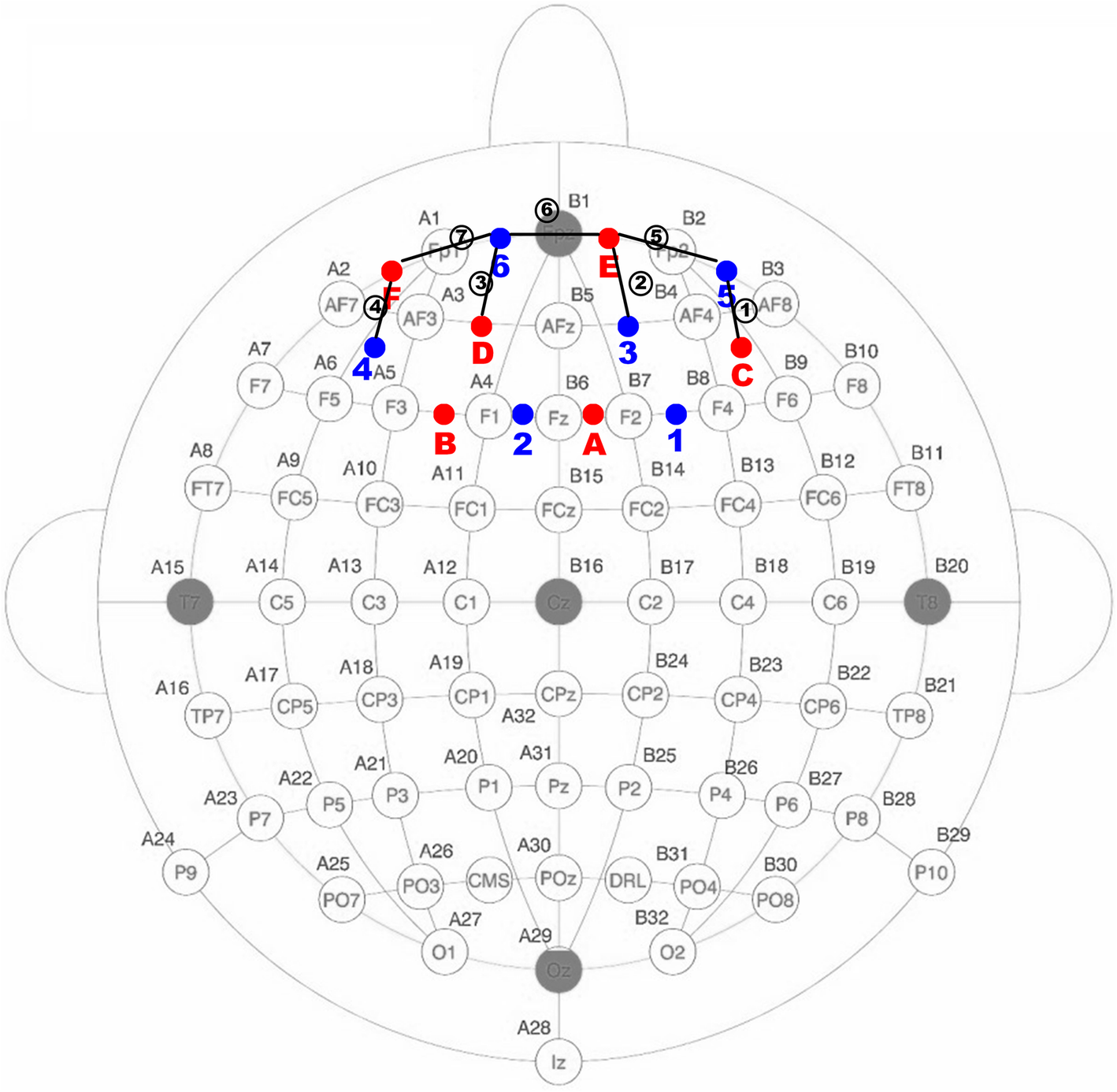 Fig. 2