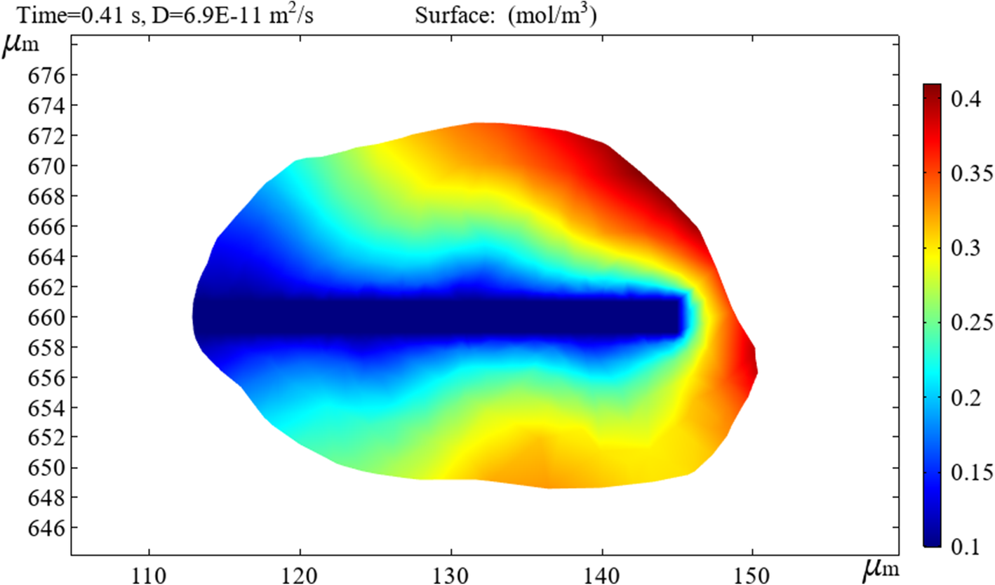 Fig. 11