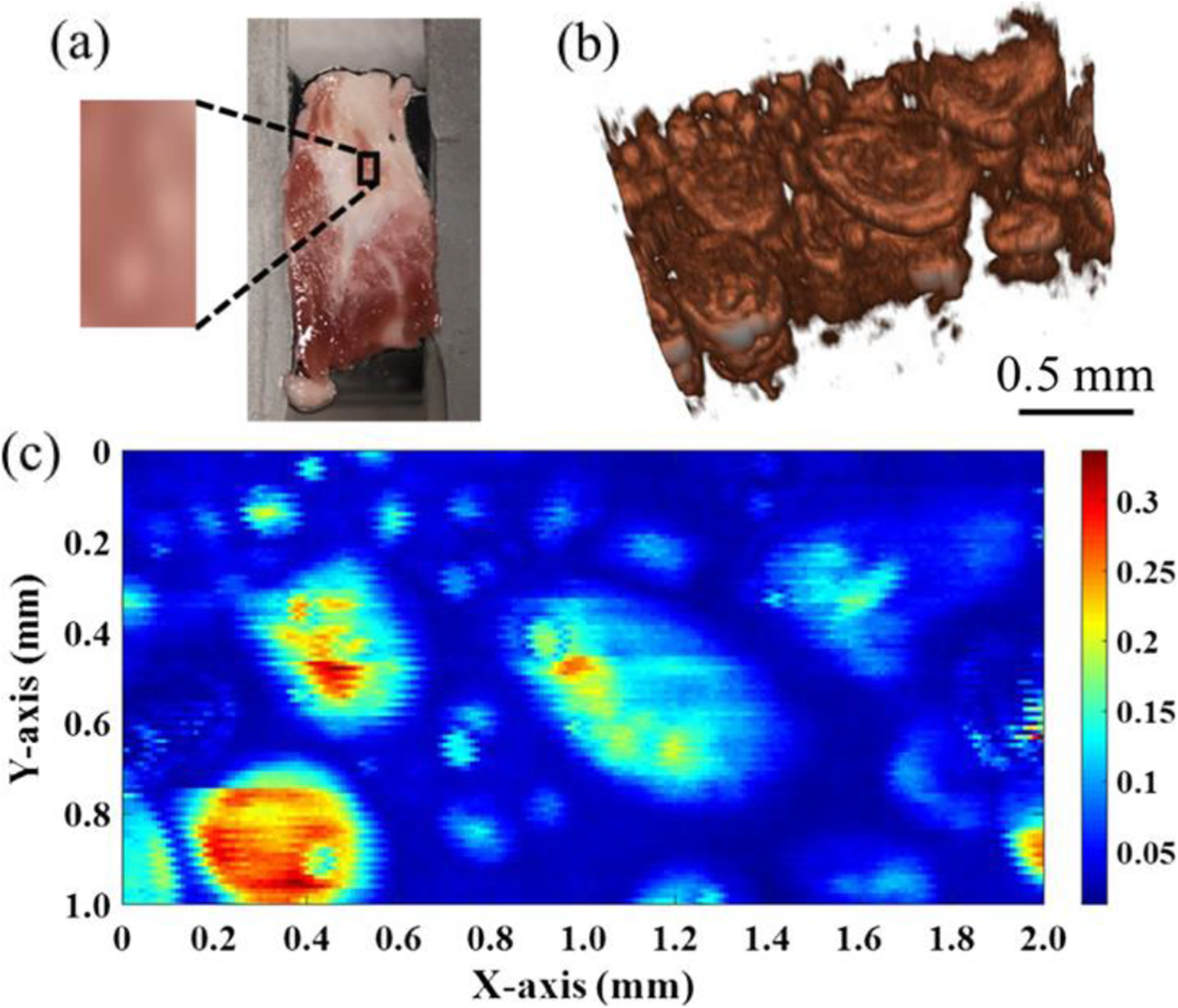 Fig. 3