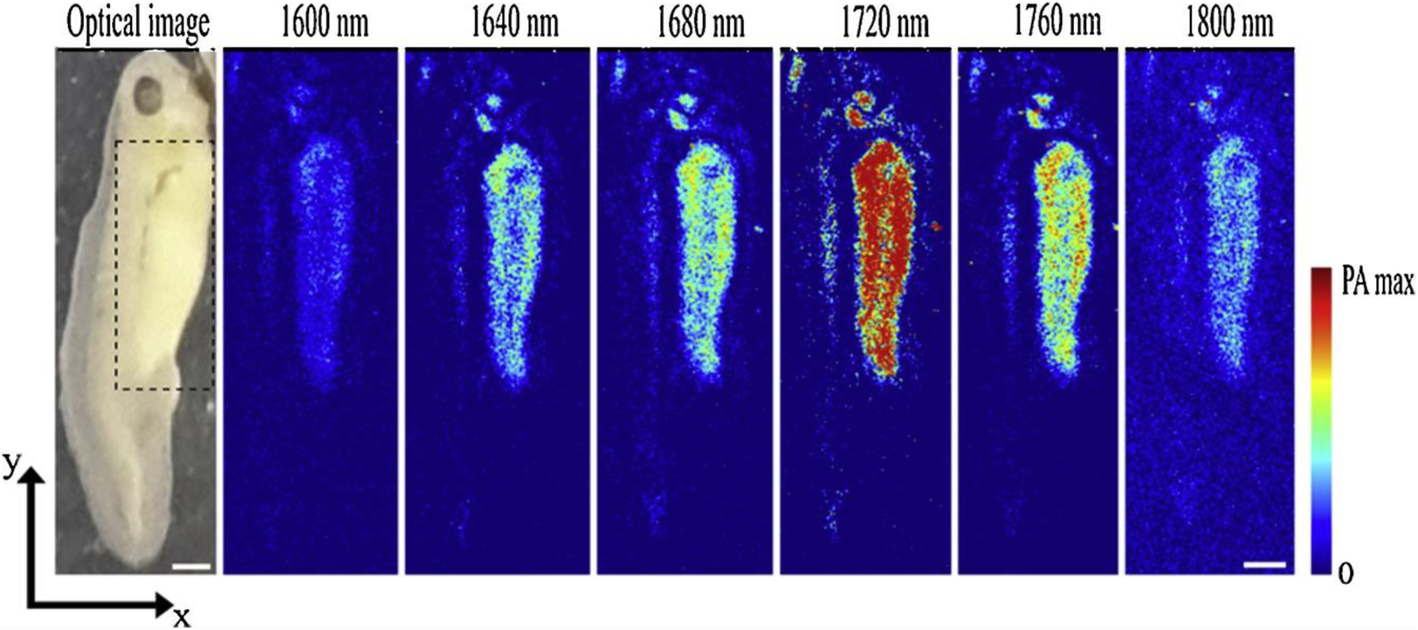 Fig. 4