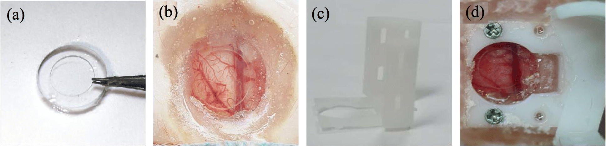 Fig. 6