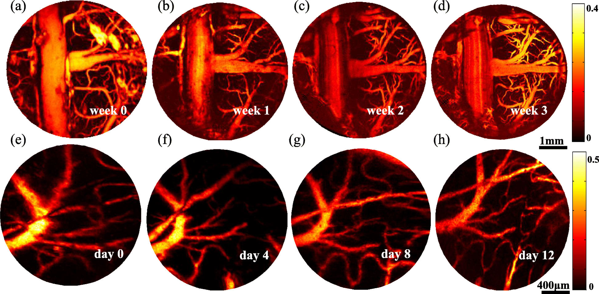 Fig. 7