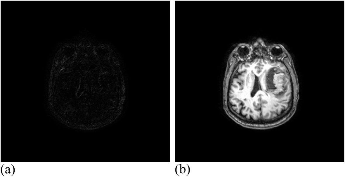 Fig. 10