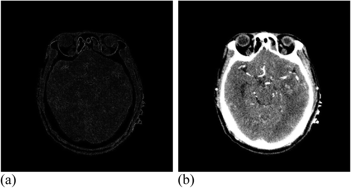 Fig. 19