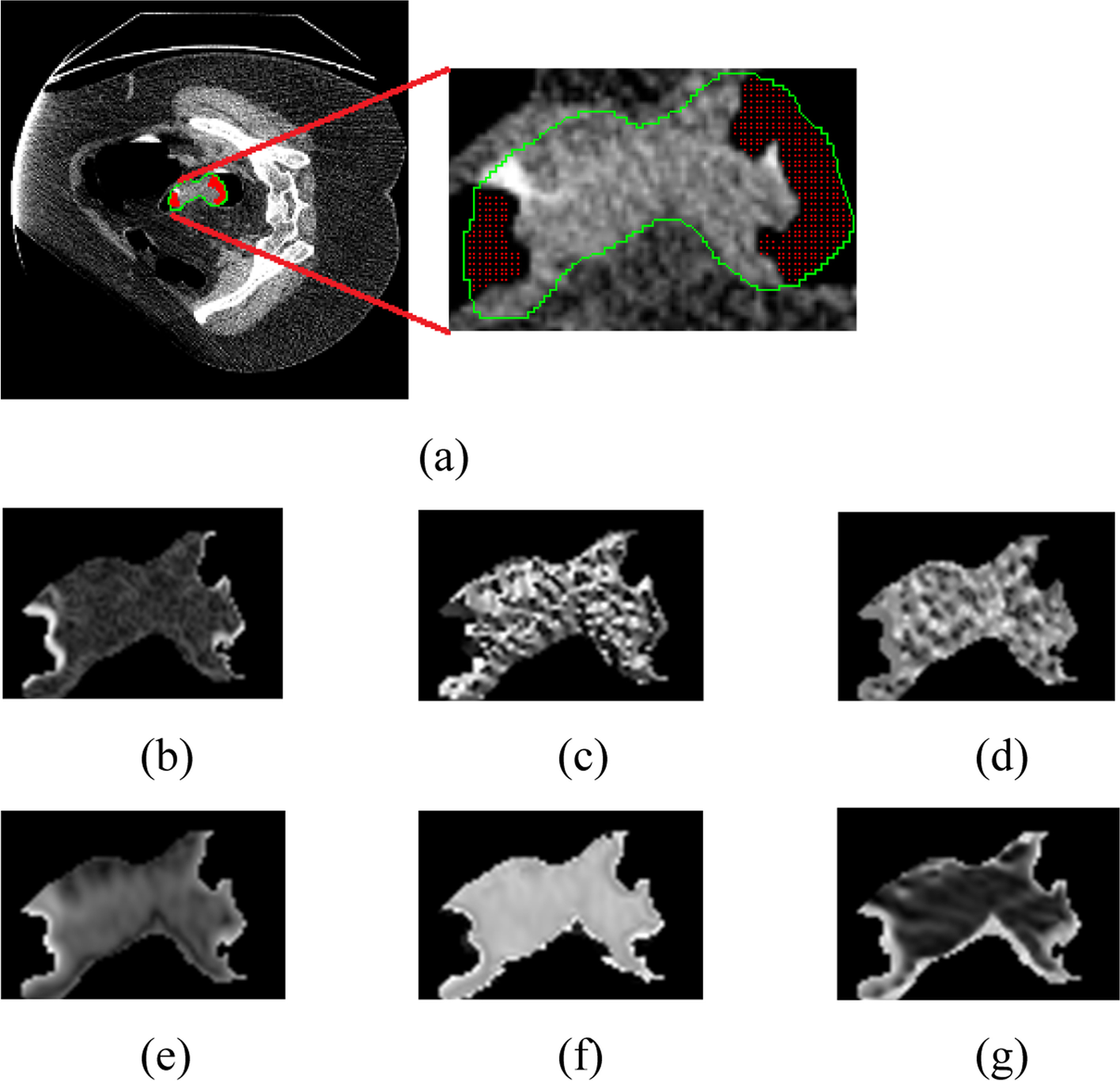 Fig. 5