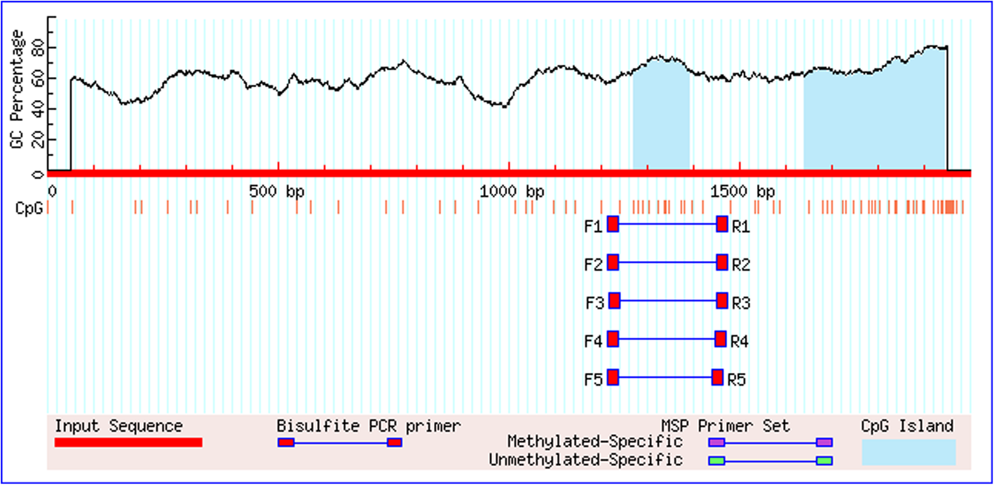 Fig. 12