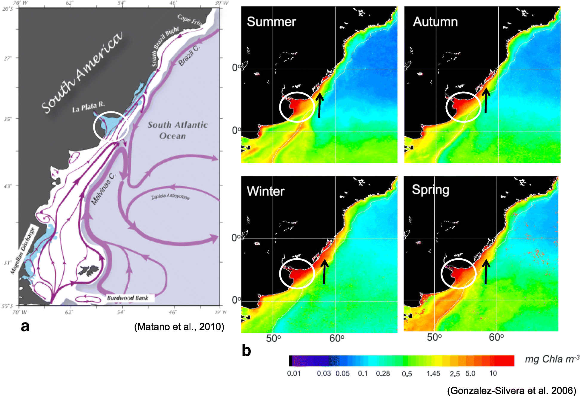 Fig. 21