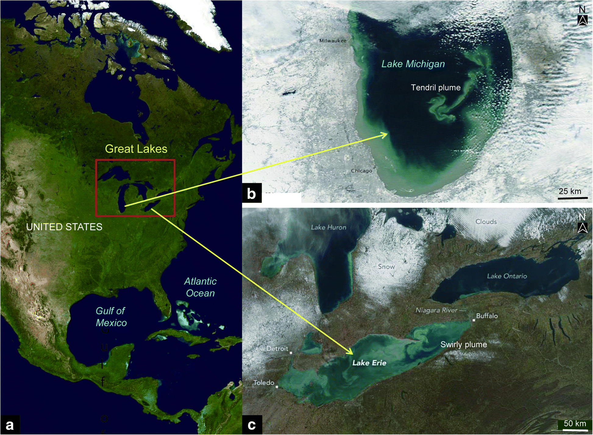 Fig. 28