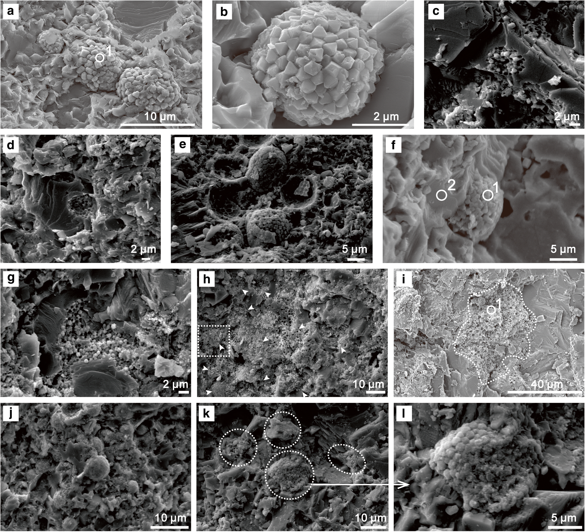 Fig. 5