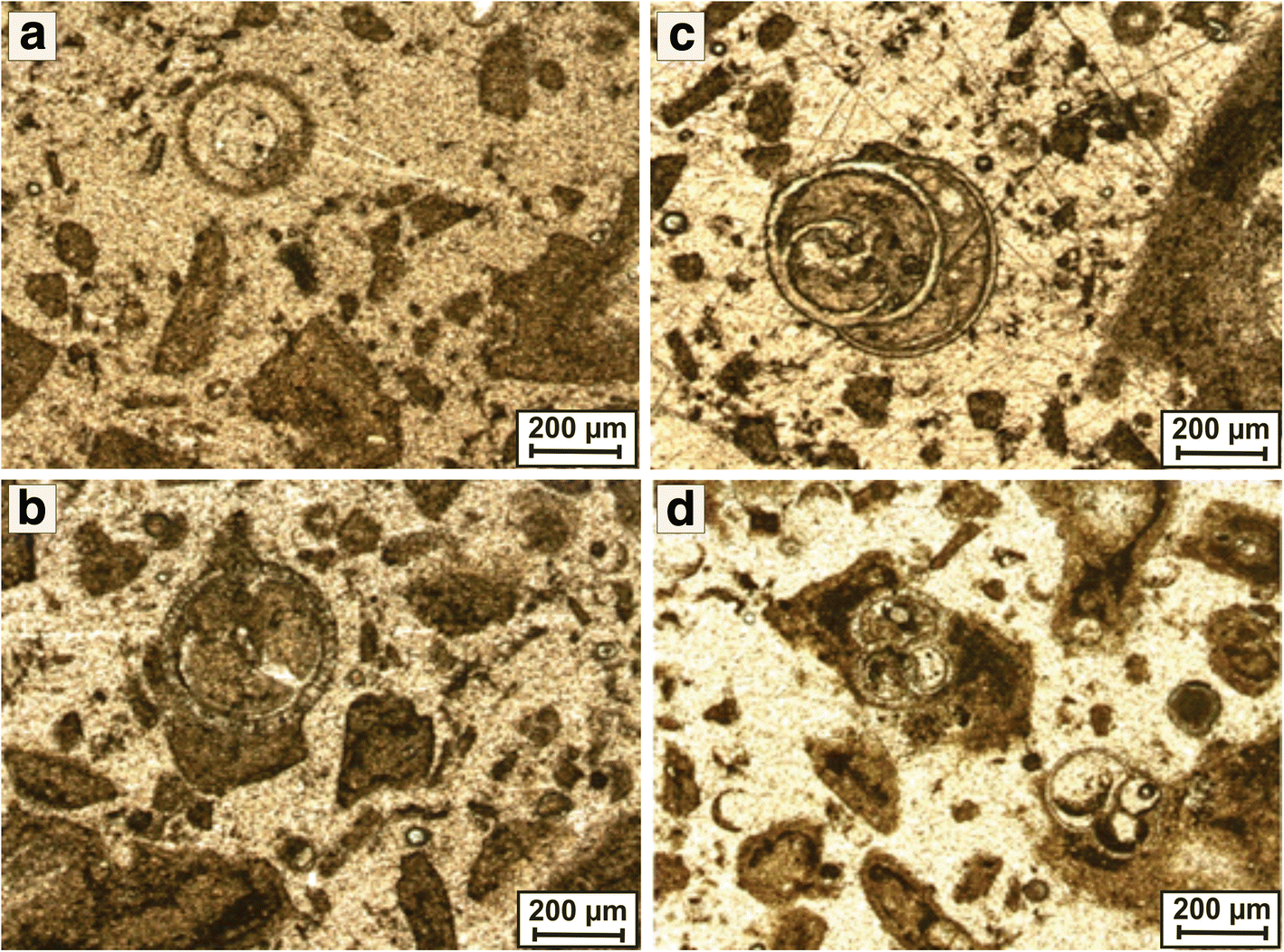 Fig. 12