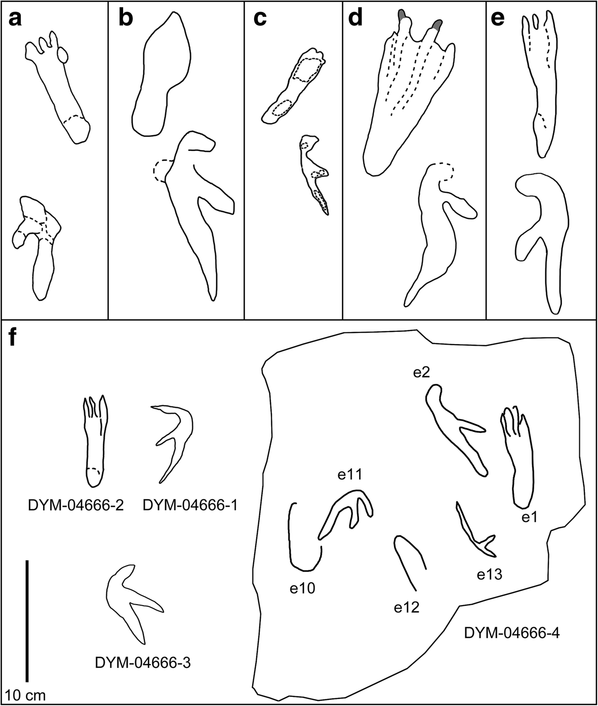 Fig. 5